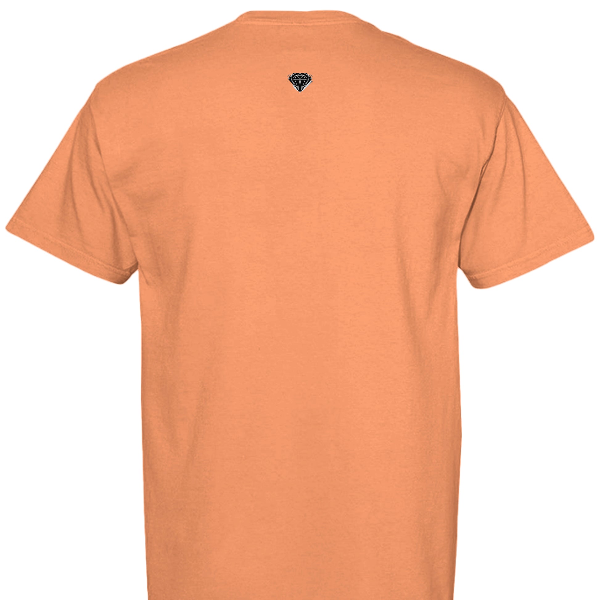 BURNT ORANGE - C1717 - BACK